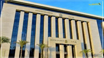 12 ألف جنيه راتب شهري.. وظائف جديدة بامتيازات غير مسبوقة تنتظر آلاف الخريجين
